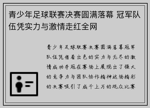 青少年足球联赛决赛圆满落幕 冠军队伍凭实力与激情走红全网 青少年足球联赛决赛圆满落幕 冠军队伍凭实力与激情走红全网