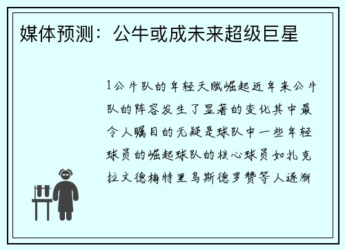 媒体预测：公牛或成未来超级巨星