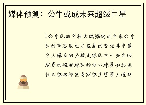 媒体预测：公牛或成未来超级巨星