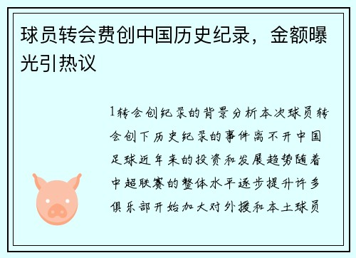 球员转会费创中国历史纪录，金额曝光引热议