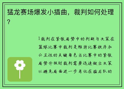 猛龙赛场爆发小插曲，裁判如何处理？